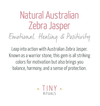 Natural Australian Zebra Jasper Energy Bracelet