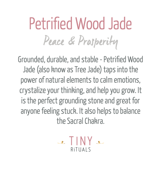 Petrified Wood Jade Energy Bracelet