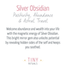 Silver Obsidian Heart