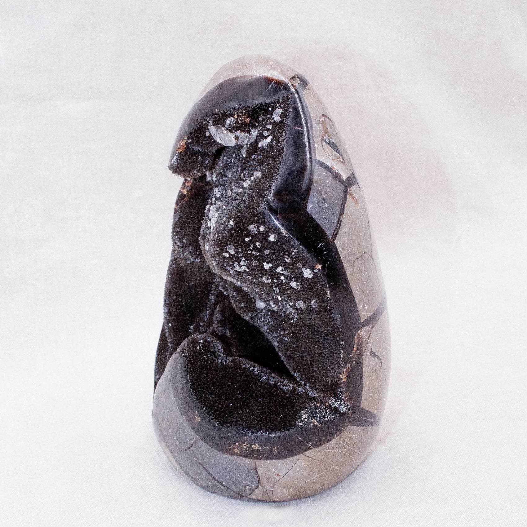 Rare Black Septarian Freeform Crystal