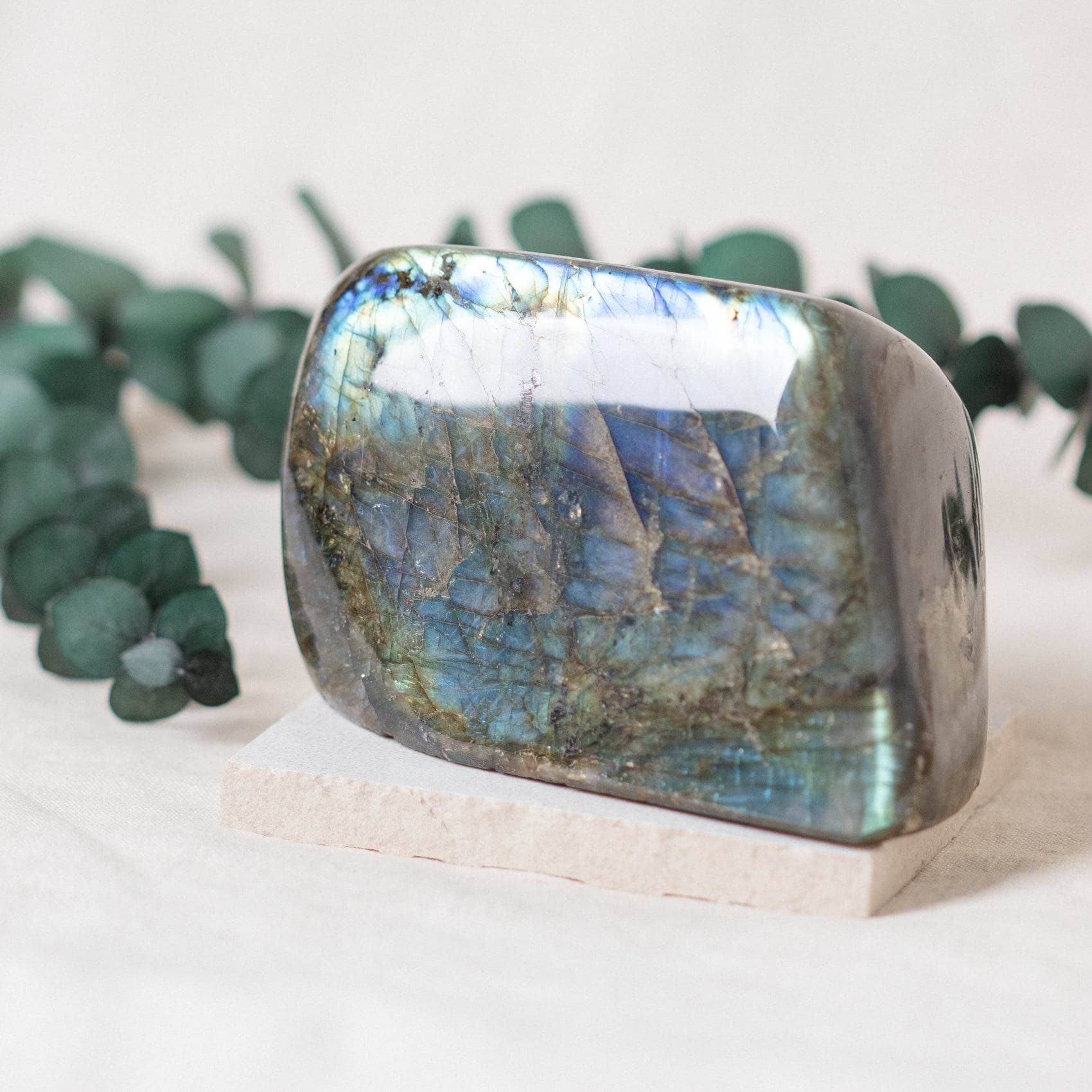 Labradorite Blue Flame Freeform - AAA Premium Quality
