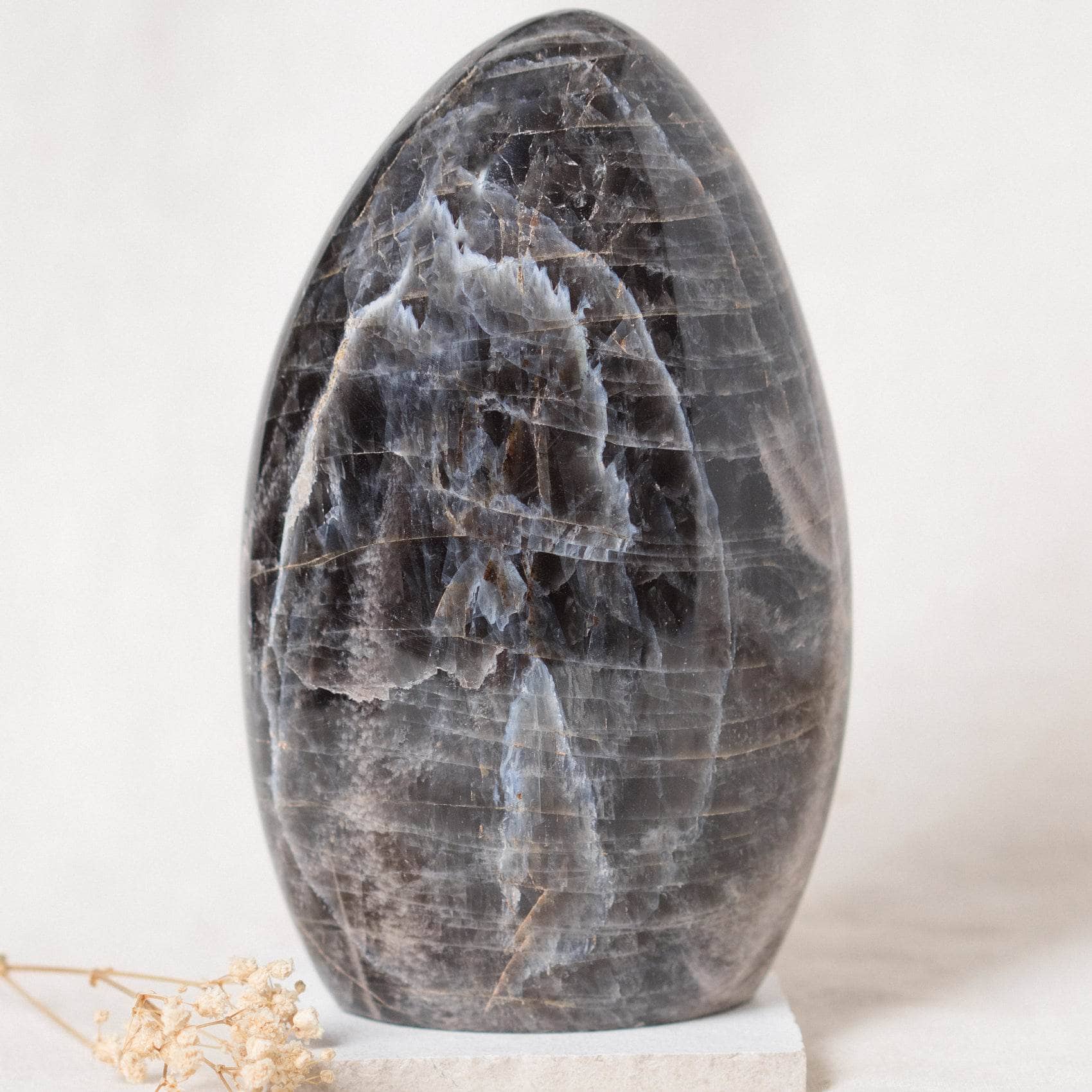 Black Moonstone Freeform - AAA Premium Quality