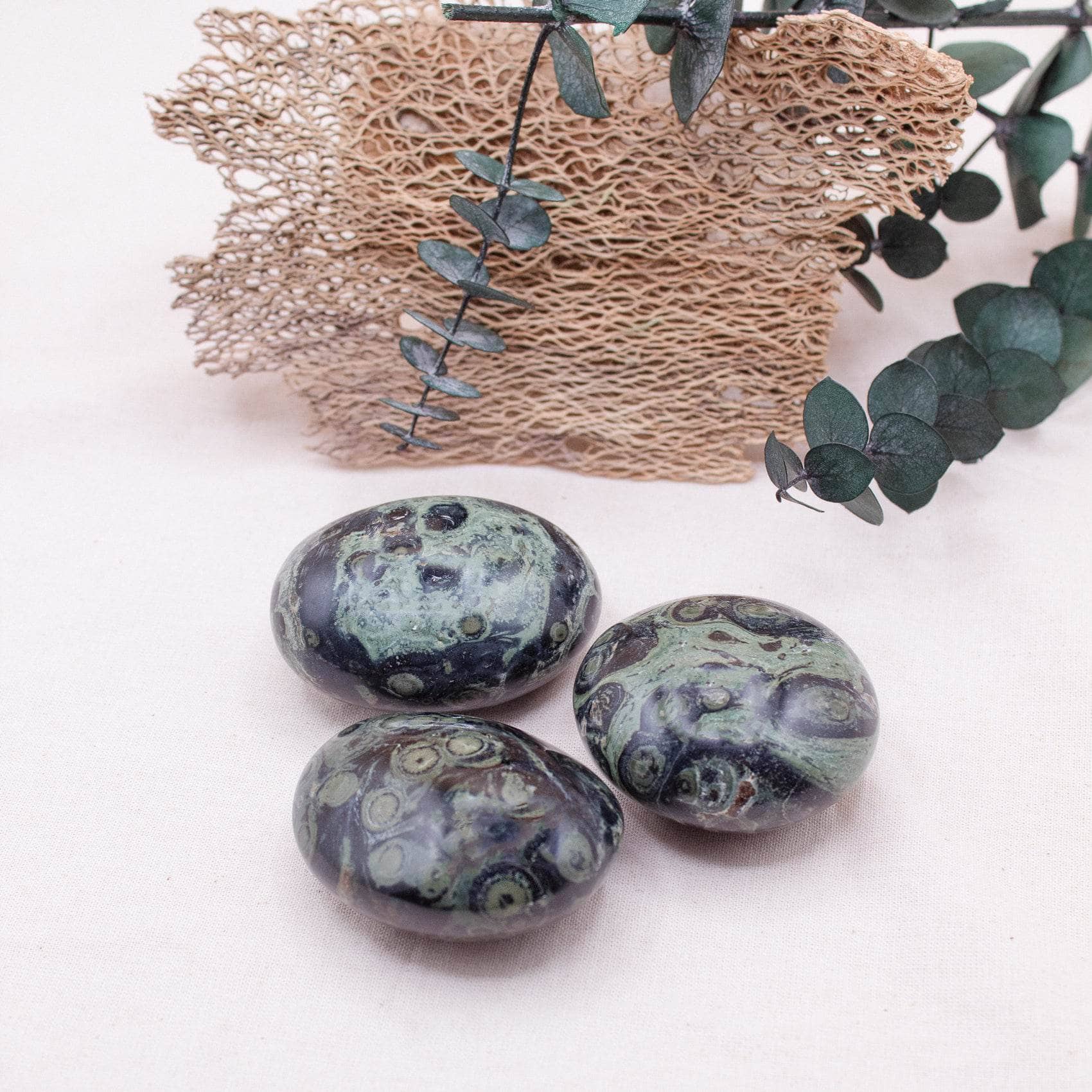 Kambaba Jasper Palm Stones - AAA Premium Quality