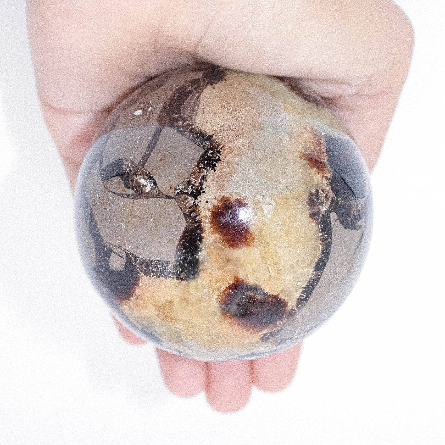 Black Septarian Sphere - AAA Premium Quality