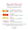 Moonlit Harvest Bracelet Pack - Limited Edition for October