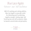 Blue Lace Agate Energy Bracelet