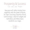 Prosperity & Success Pack