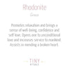 Rhodonite Energy Bracelet