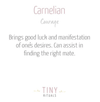 Carnelian Stone Set