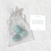 Amazonite Stone Set