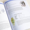 Encyclopedia Of Crystals