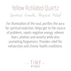 Yellow Rutilated Quartz Energy Bracelet