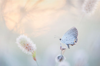 The Best Books for Embracing Change