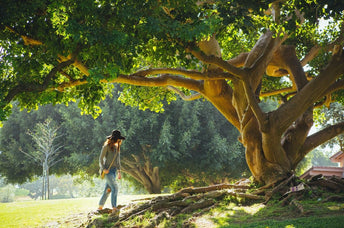 The Beginner Guide to the Root Chakra
