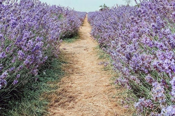 The 22 Best Crystals For Emotional Healing