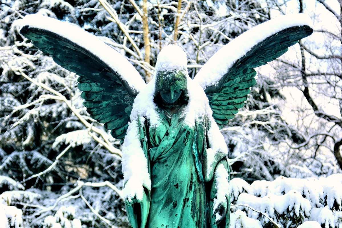 Untitled_design_15.png?v=