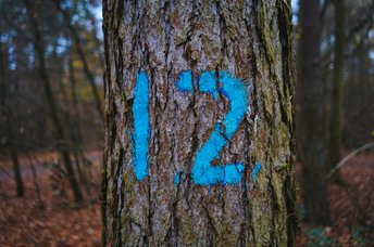 Angel Number 12: Significance, Interpretation, and Spiritual Guidance