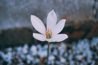 717: A Numerological Symbol of Spiritual Growth and Development