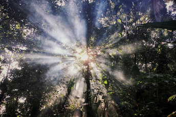 Angel Number 1122: What Does it Mean in Love, Relationships, & More?