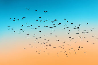 What Does 1111  Mean? Angel Numbers, Love, Spirituality, & More