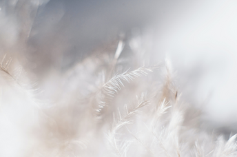 What Does 7777 Mean? Angel Numbers, Love, Numerology, & More