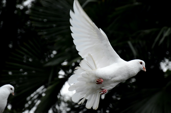 Angel Number 1414: Why You Keep Seeing It, & What It Means