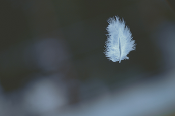 The Meaning of Angel Number 4444 in Love, Relationships, & More