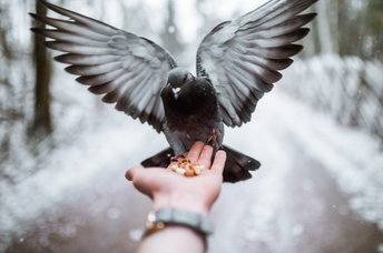 The Meaning of 808: A Message from the Angels for Your Path
