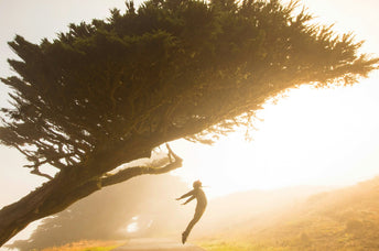 Top Crystals for Productivity: Amplify Your Energy and Motivation