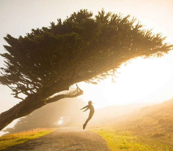 Top Crystals for Productivity: Amplify Your Energy and Motivation