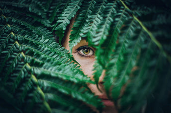 Earth Signs Astrology: Taurus, Virgo, Capricorn Insights
