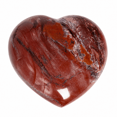 petrified wood