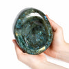 #12 swatch