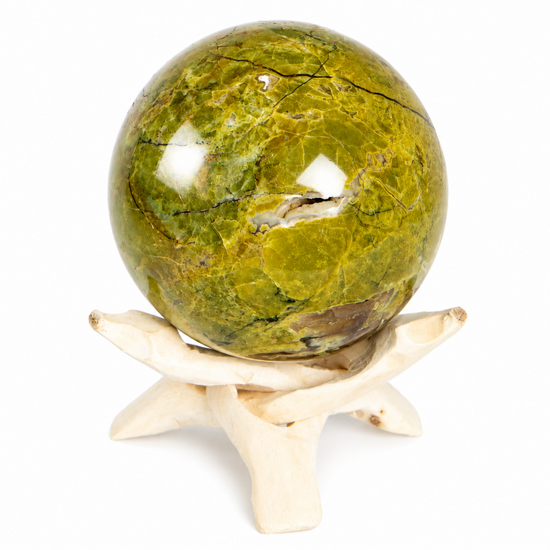 #13 swatch