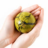 #2 swatch