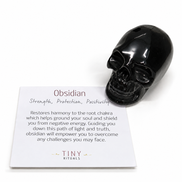 Black Obsidian Crystal Skull