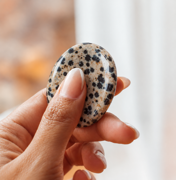 Dalmatian Jasper Worry Stone