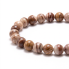 Natural Australian Zebra Jasper Energy Bracelet