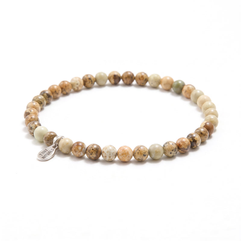 Picture Jasper Energy Bracelet