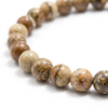 Picture Jasper Energy Bracelet