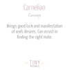 Carnelian Gold Bracelet