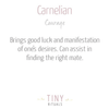 Carnelian Golden Hoop Earrings