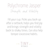 Polychrome (Desert Magic) Jasper Worry Stone