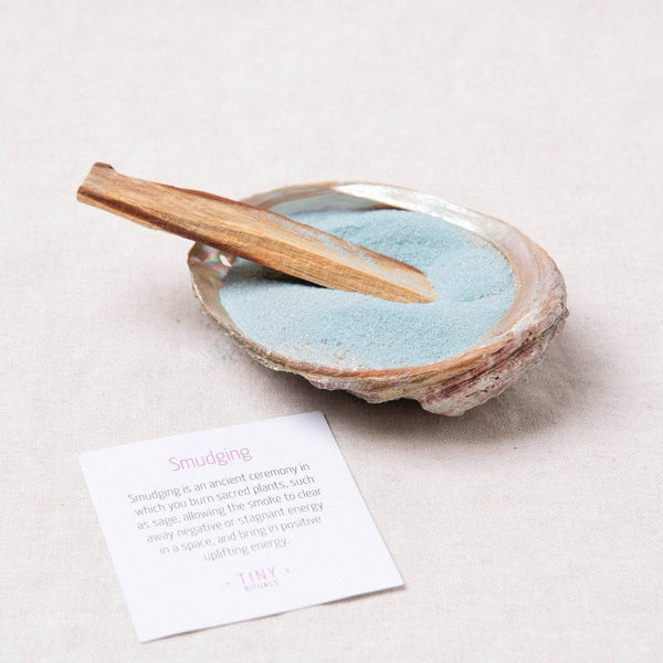 Small Abalone Shell Kit