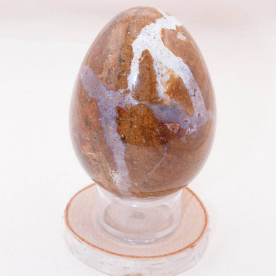 petrified wood
