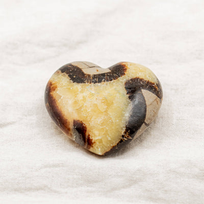 black septarian