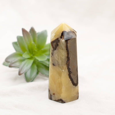 black septarian