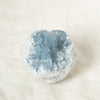 #21 swatch