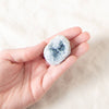 #37 swatch