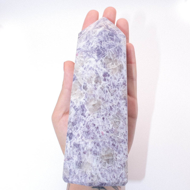 #9 swatch